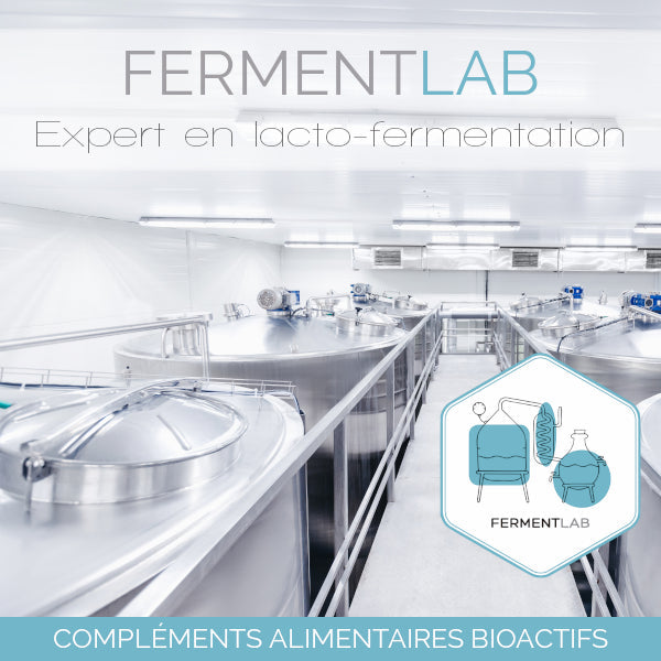 Levure de Riz Rouge Fermenté Sans Statine : Cholestérol