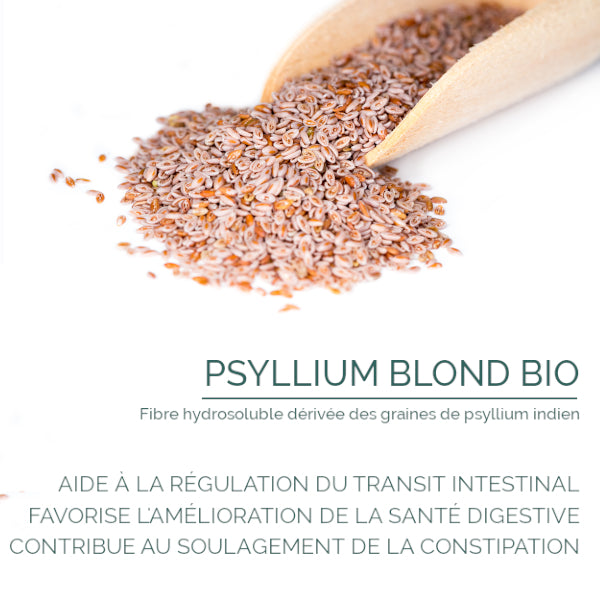 Psyllium bio noir - transit intestinal