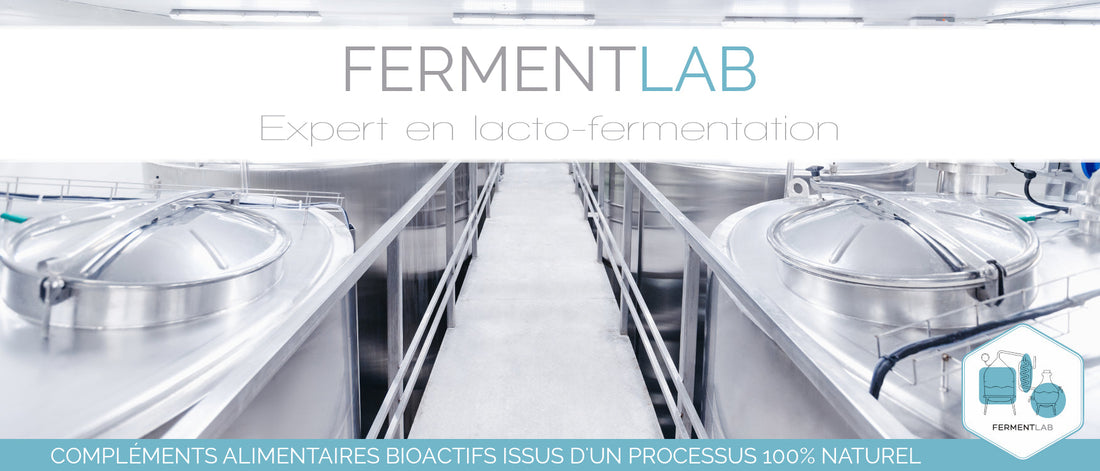 FERMENTLAB