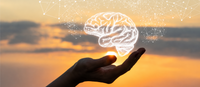 Comment soutenir ses fonctions cognitives ?