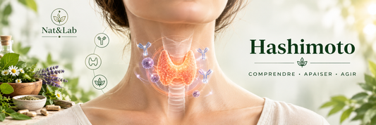 Hashimoto : quand l’hypothyroïdie est auto-immune — mécanismes et solutions naturelles