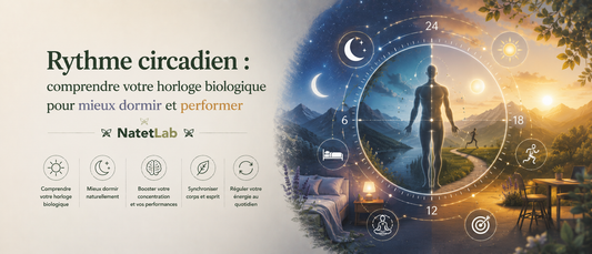 Rythme circadien : comprendre votre horloge biologique pour mieux dormir et performer