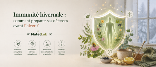Immunité hivernale : comment préparer ses défenses avant l'hiver ?