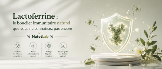 Lactoferrine : le bouclier immunitaire naturel que vous ne connaissez pas encore