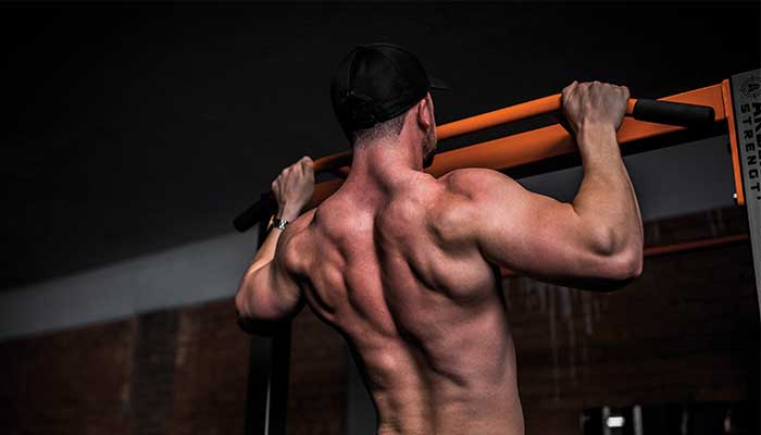 Morphotype : êtes-vous mésomorphe ?