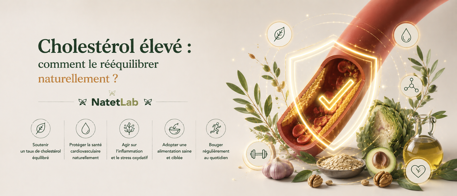 Cholestérol élevé : comment le rééquilibrer naturellement ?