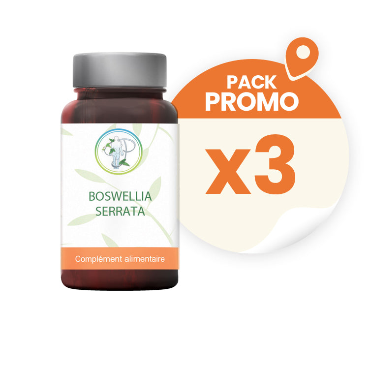 Boswellia Serrata 65 % d'acide boswellique - Pack Promo x 3 (3 mois de cure)