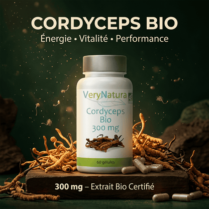 Cordyceps sinensis bio Extrait titré 30 % polysaccharides