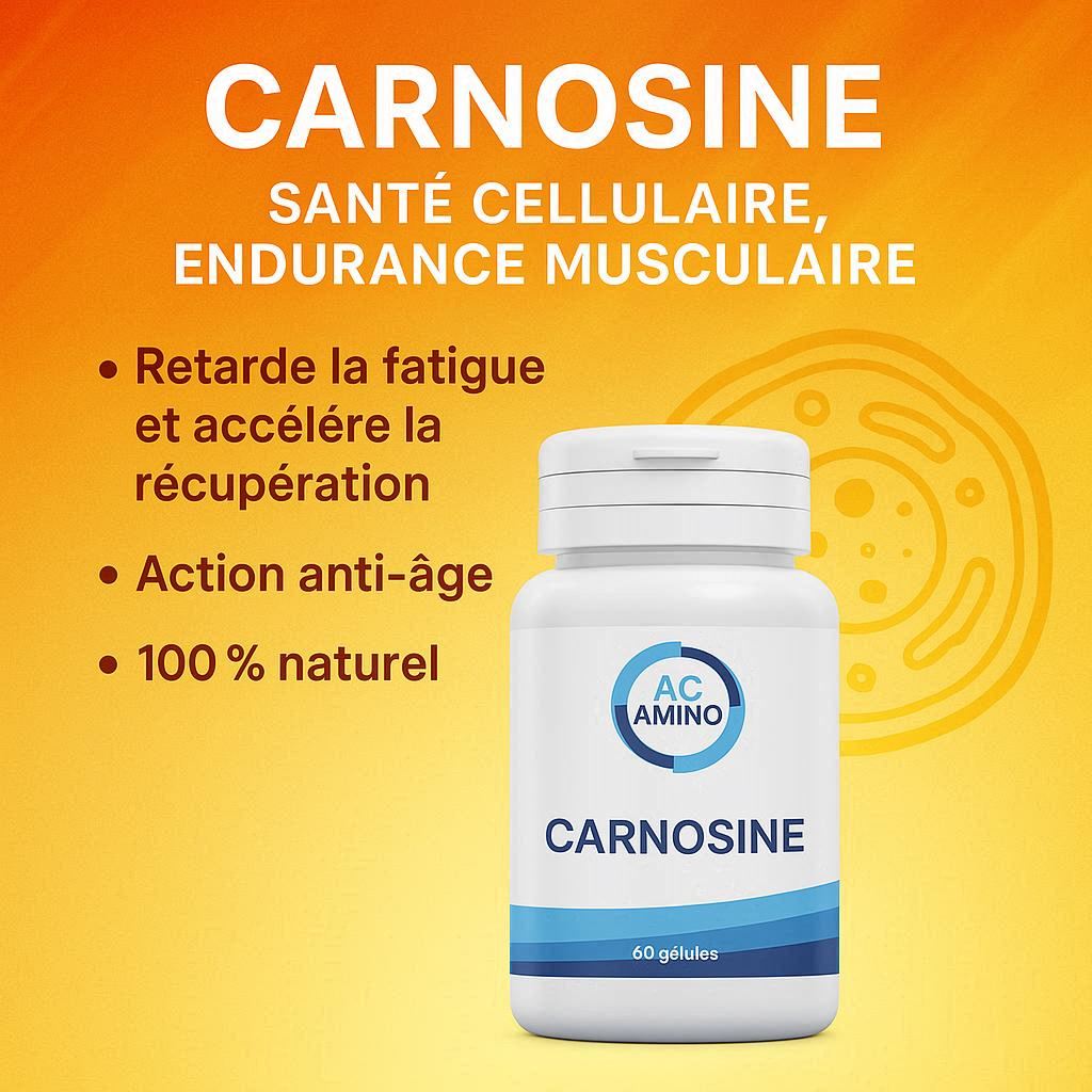 Carnosine 500 mg : Cœur & Activité Physique