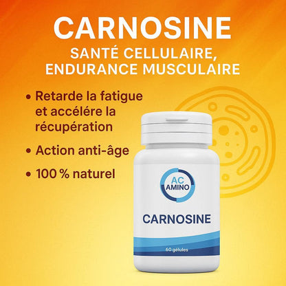 Carnosine 500 mg : Cœur & Activité Physique