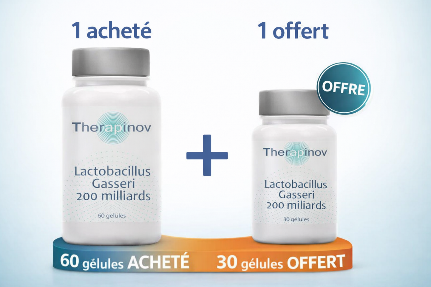 Lactobacillus Gasseri : Probiotiques & Flore Intestinale