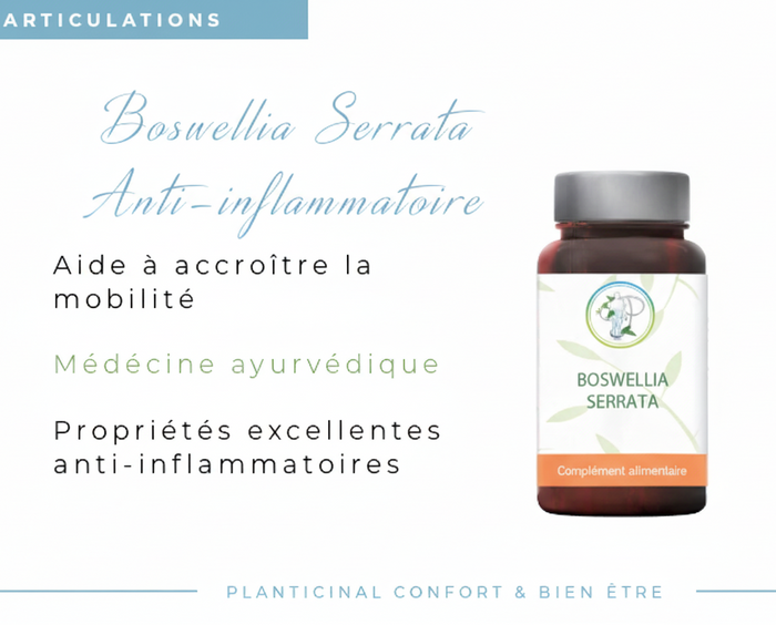 Boswellia Serrata titrée à 65 % d'acide boswellique