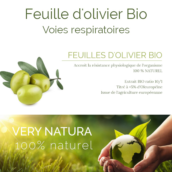 Feuilles d'Olivier Bio 5% Oleuropéine : Cœur & Tension