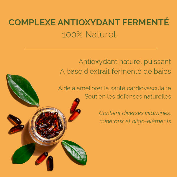 Complexe Anti Oxydant Fermenté Poudre