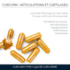 Curcuma Liposomal 95 % : Articulations & Cartilages