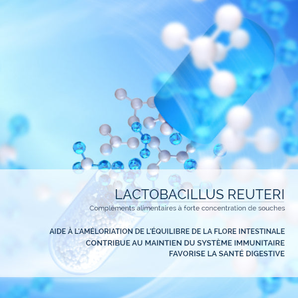 Lactobacillus Reuteri : Probiotiques & Flore Intestinale