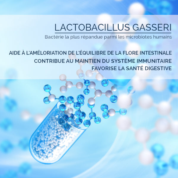 Lactobacillus Gasseri : Probiotiques & Flore Intestinale