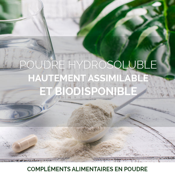 Complexe De Magnésium ATA Mg® Par Aura Herbals - 120 Gélules - Nouveau