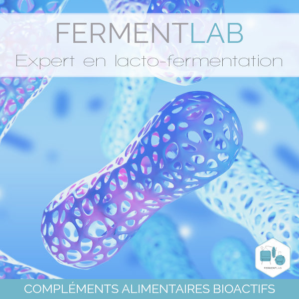 Complexe Anti Oxydant Fermenté Poudre