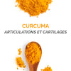 Curcuma Liposomal 95 % : Articulations & Cartilages