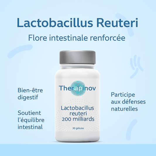 Lactobacillus Reuteri : Probiotiques & Flore Intestinale