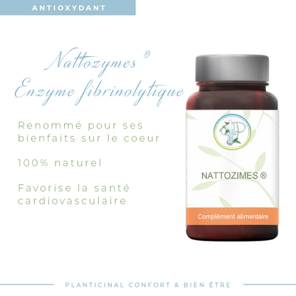 Nattokinase NSK-SD® 2000 FU - Santé Cardiovasculaire & Circulatoire - 60 Gélules Végétales