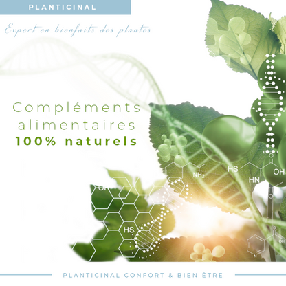 Desmodium ratio 10/1 : Santé du foie & Detox
