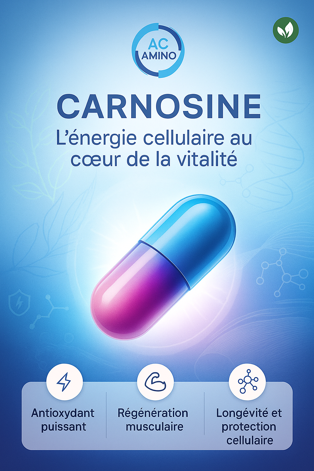 Carnosine 500 mg : Cœur & Activité Physique