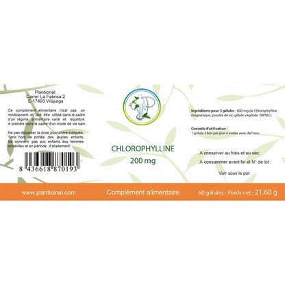 Chlorophylline Naturelle - Soutien Digestif & Détoxification