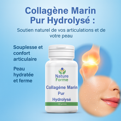 Collagène Marin Pur Hydrolysé Gélules : Peau & Articulations