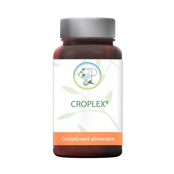 Croplex® – Soutien Naturel du Confort Digestif avec Boswellia et Curcuma