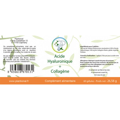 Acide Hyaluronique + Collagène – Duo Anti-Âge Naturel pour une Peau Éclatante et des Articulations Souples