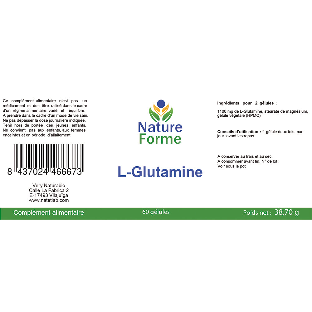 L-Glutamine en Gélules : Confort Intestinal & Récupération Musculaire
