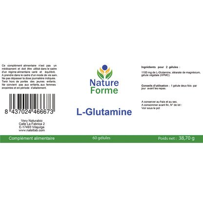 L-Glutamine en Gélules : Confort Intestinal & Récupération Musculaire