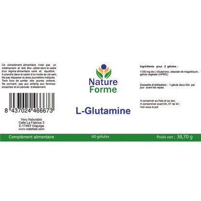 L-Glutamine en Gélules : Confort Intestinal & Récupération Musculaire