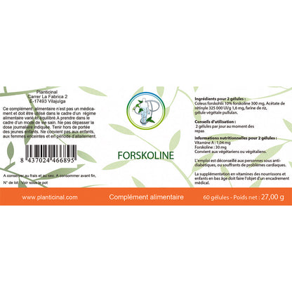 Pack Vision – Votre Solution Naturelle pour la Santé Oculaire