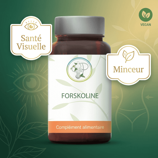 Coleus Forskohlii à 10% de Forskoline : Minceur & Detox