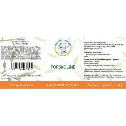 Pack Vision – Votre Solution Naturelle pour la Santé Oculaire