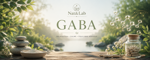 GABA : définition, rôle, fonctionnement et synthèse naturelle
