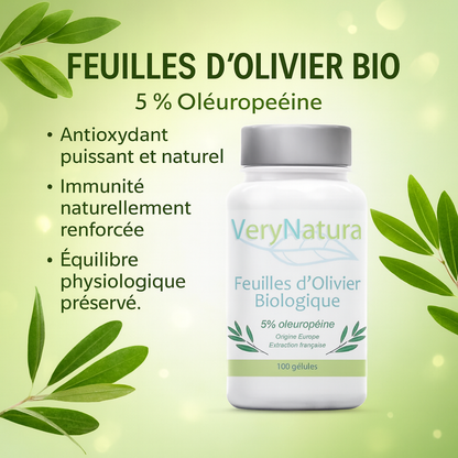 Feuilles d'Olivier Bio 5% Oléuropéine – Votre Allié Naturel pour le Cœur et l'Équilibre Tensionnel
