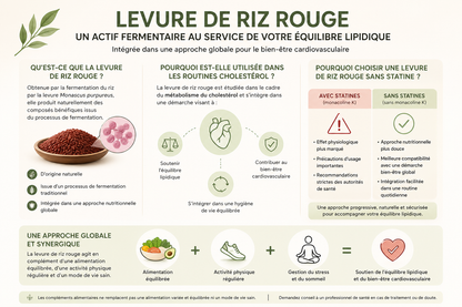 Pack Cholestérol Naturel : Routine Complète pour l’Équilibre Lipidique