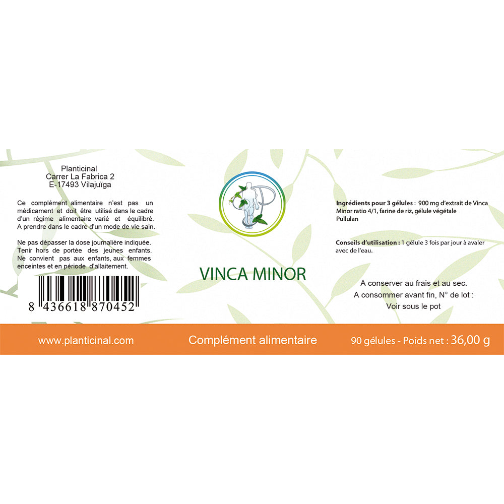 Vinca Minor – Contribue à la Circulation et au Bien-être Cérébral