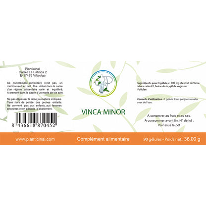 Vinca Minor – Contribue à la Circulation et au Bien-être Cérébral