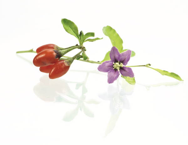 Goji