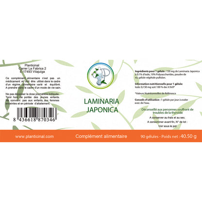 Laminaria Japonica - Source naturelle d'iode marin pour détox et équilibre thyroïdien