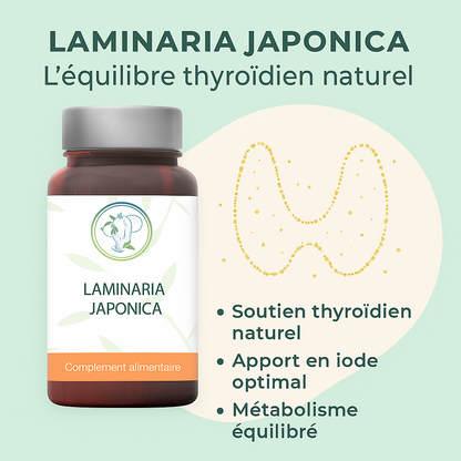 Laminaria Japonica – Votre Allié Naturel pour la Détox et l’Équilibre Thyroïdien