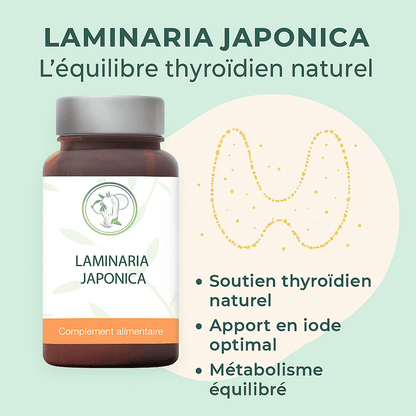 Laminaria Japonica - Source naturelle d'iode marin pour détox et équilibre thyroïdien