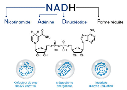 NADH Plus : Anti-âge & Antioxydant