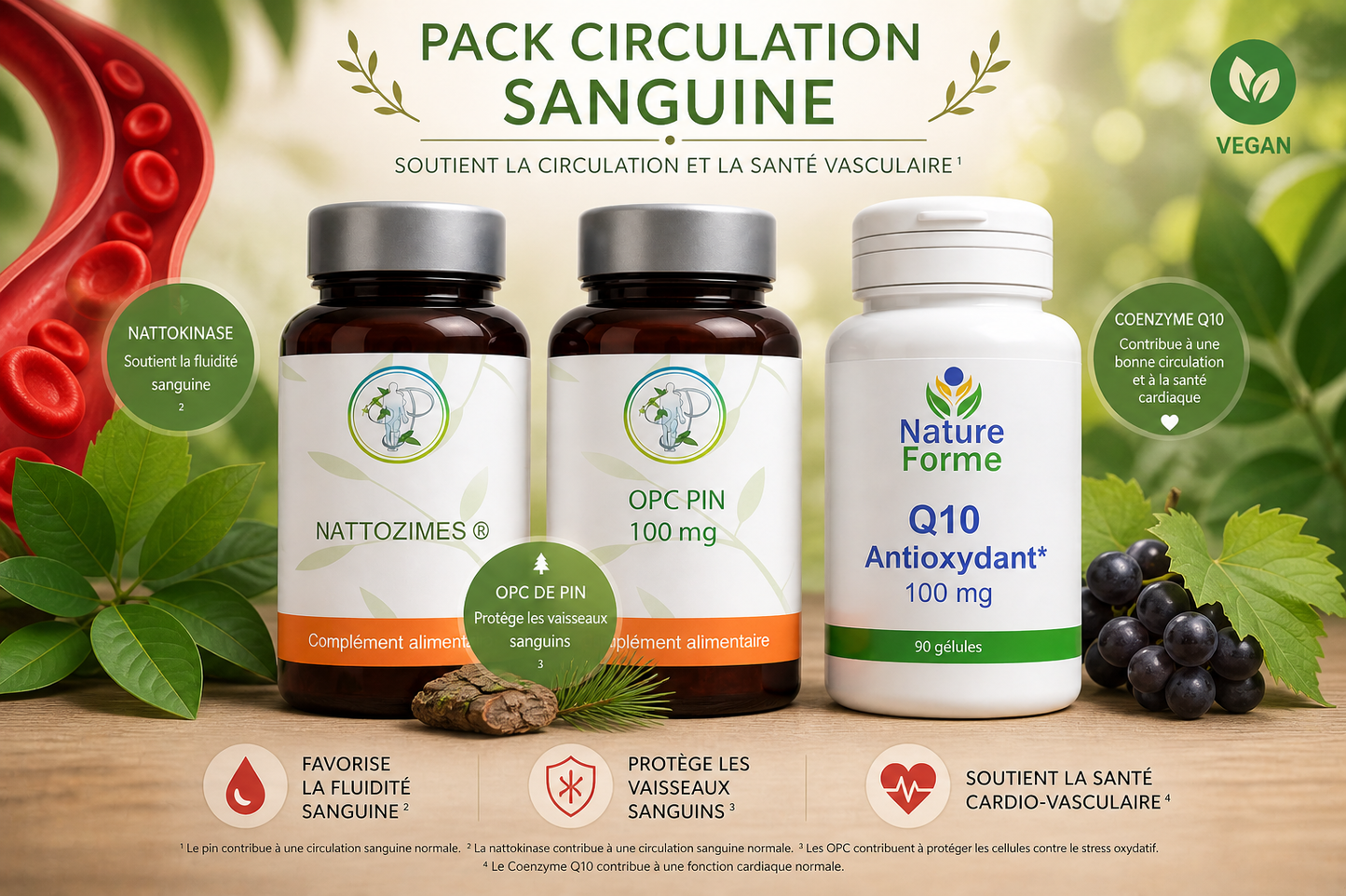 Pack Circulation Sanguine : Une Approche Naturelle Complète pour Soutenir Vos Vaisseaux et Votre Vitalité