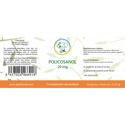 Pack Cholestérol Naturel : Routine Complète pour l’Équilibre Lipidique